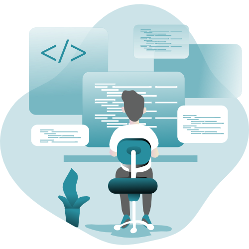 Software Coding